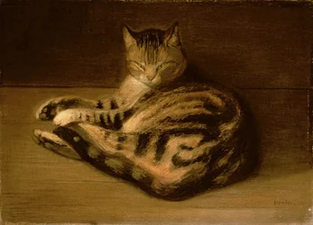 Chat couché, 1898